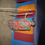 Vraj-Yatra-2014- (1830)